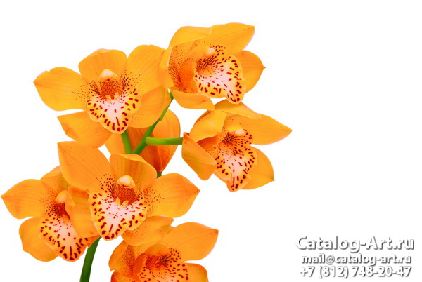 Натяжные потолки с фотопечатью - Желтые и бежевые орхидеи 20